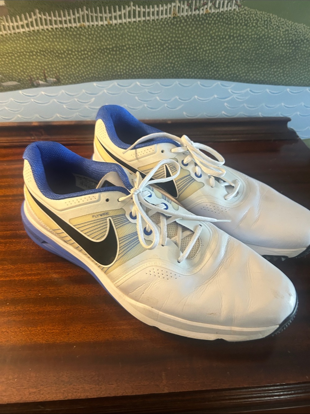 Nike Men’s White, Blue and Black Golf Shoes size 13. Worn only once.